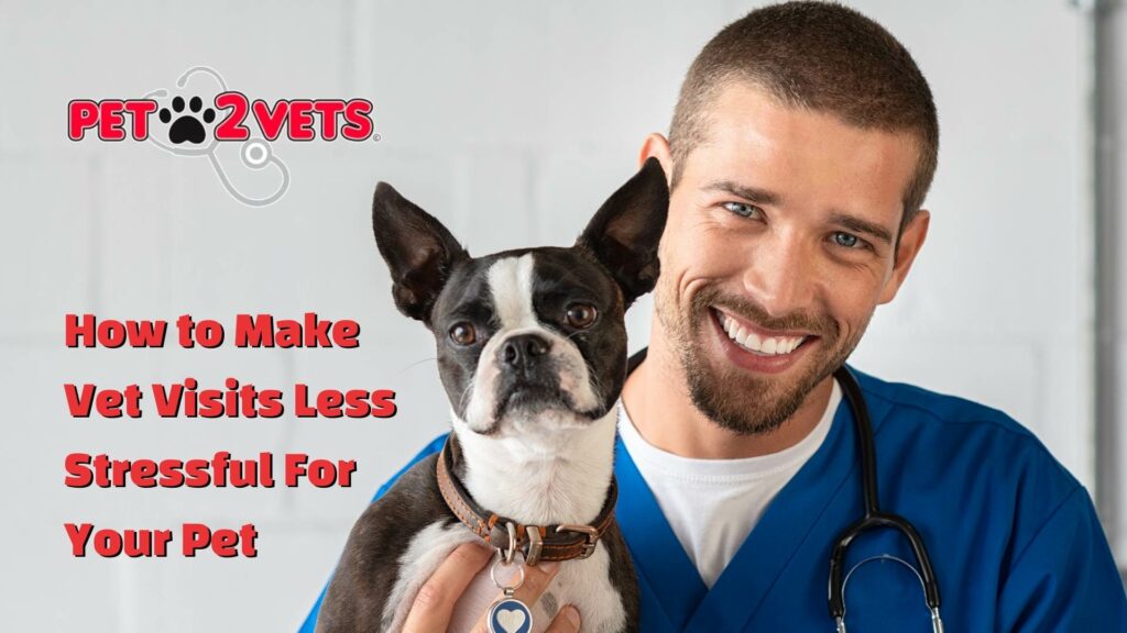 How to Make Vet Visits Less Stressful For Your Pet