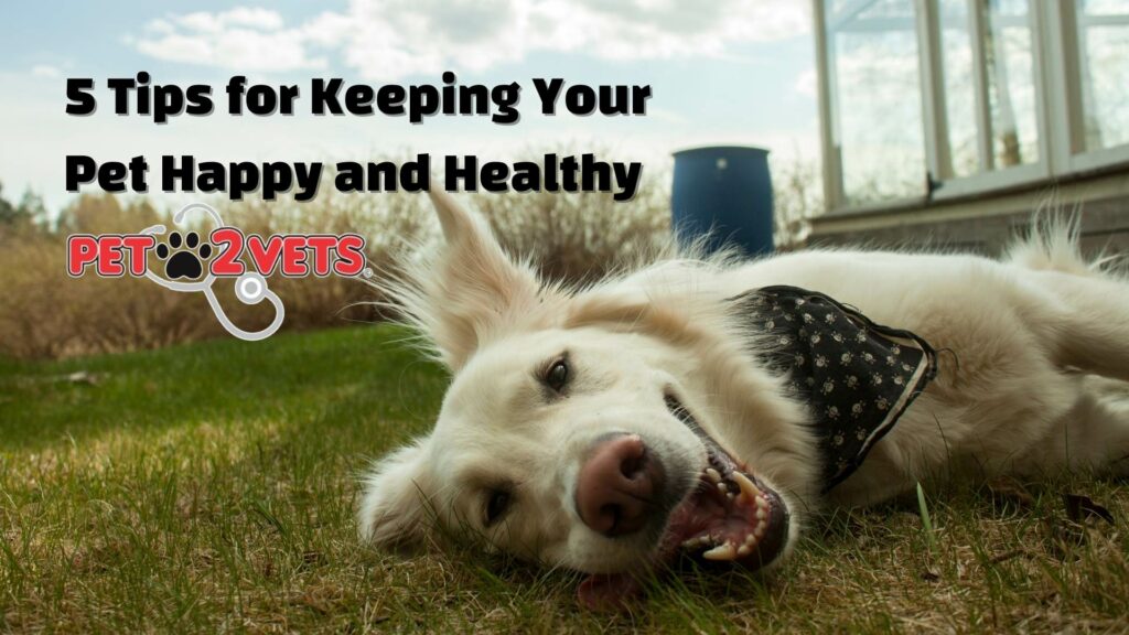 5 Tips for Keeping Your Pet Happy and Healthy